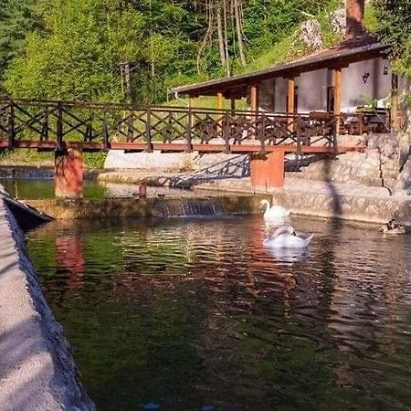 Valja Mare Moma Golubac Exterior foto