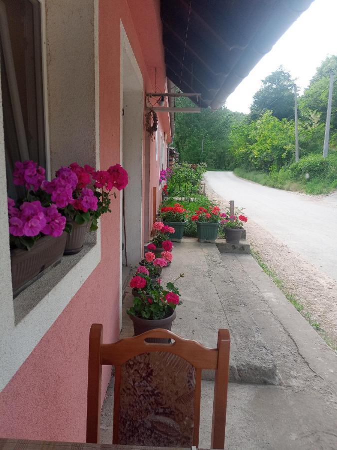Valja Mare Moma Golubac Exterior foto